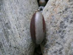 Shiva lingam - pvsek*