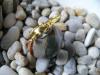 Jaspis Madagaskar se zlatou žabkou hojnosti*